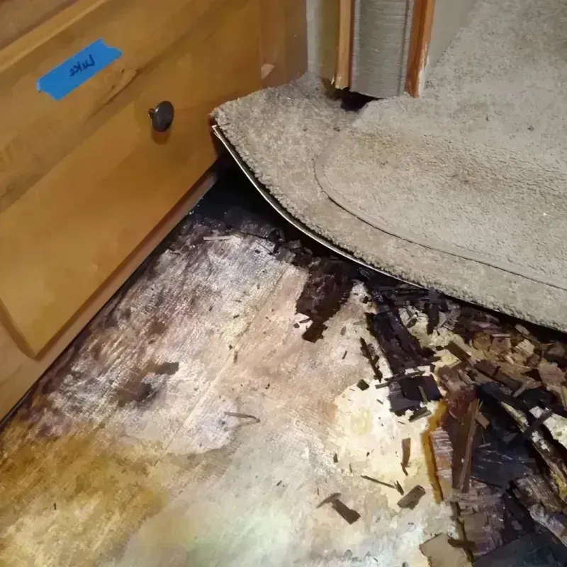 Wood Floor Water Damage in Brighton Park, IL